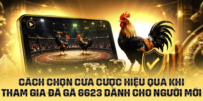 Cách chọn cửa cược hiệu quả khi tham gia đá gà 6623