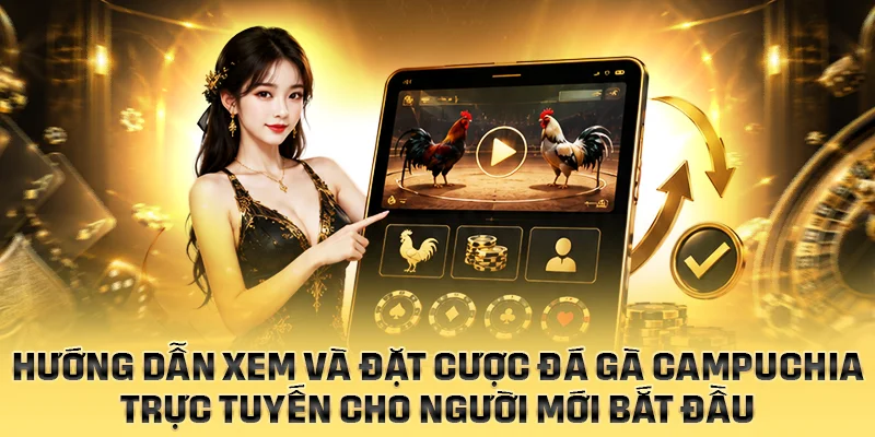 Hướng dẫn xem và đặt cược đá gà Campuchia trực tuyến cho người mới bắt đầu