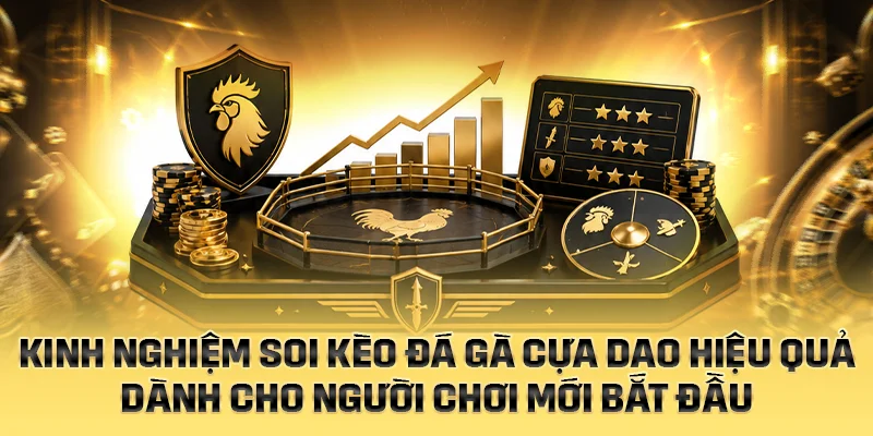 Kinh nghiệm soi kèo đá gà cựa dao hiệu quả dành cho người chơi mới bắt đầu