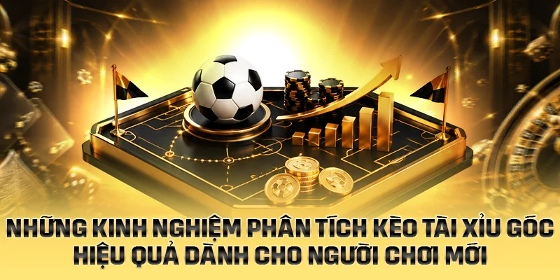 Những kinh nghiệm phân tích thị trường kèo tài xỉu góc hiệu quả
