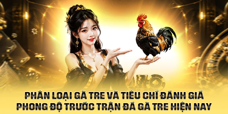 Phân loại gà tre và tiêu chí đánh giá phong độ trước trận đá gà tre hiện nay