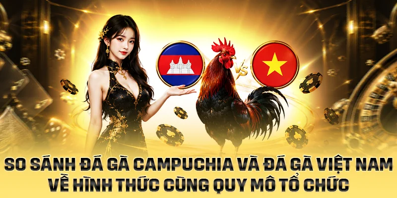 So sánh đá gà Campuchia và đá gà Việt Nam về hình thức cùng quy mô tổ chức